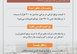 برنج ایرانی ۱۳۰ هزار تومانی نداریم!