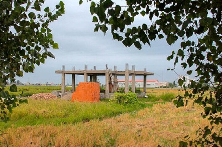 حفاظت از اراضی کشاورزی؛ بستر تولید و امنیت غذایی