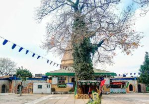 طرح ملی «حرم امامزادگان، پناهگاه مردم»