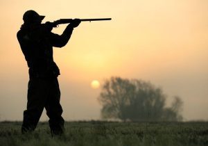 شناسایی و برخورد با ۱۷ متخلف شکار و صید در استان