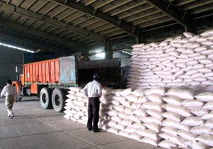 توزیع۴۶۱۲ تُن کود کشاورزی در مازندران