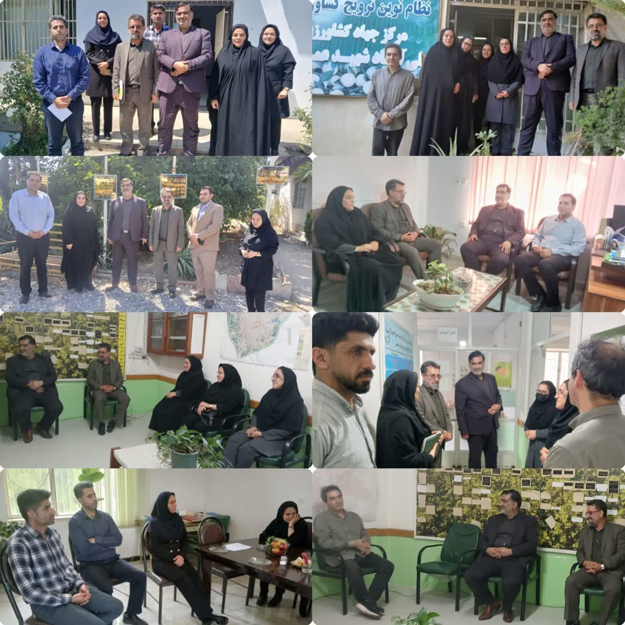 نوغانداری و گیاهان دارویی، کلید رونق اقتصاد روستایی قائم‌شهر