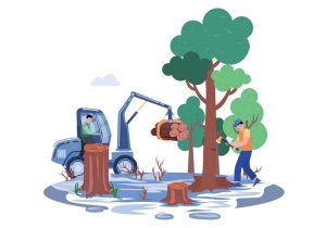 نه به پارک جنگلی کیاسر؛ نه به توسعه‌ای که بهای آن، نابودی طبیعت باشد