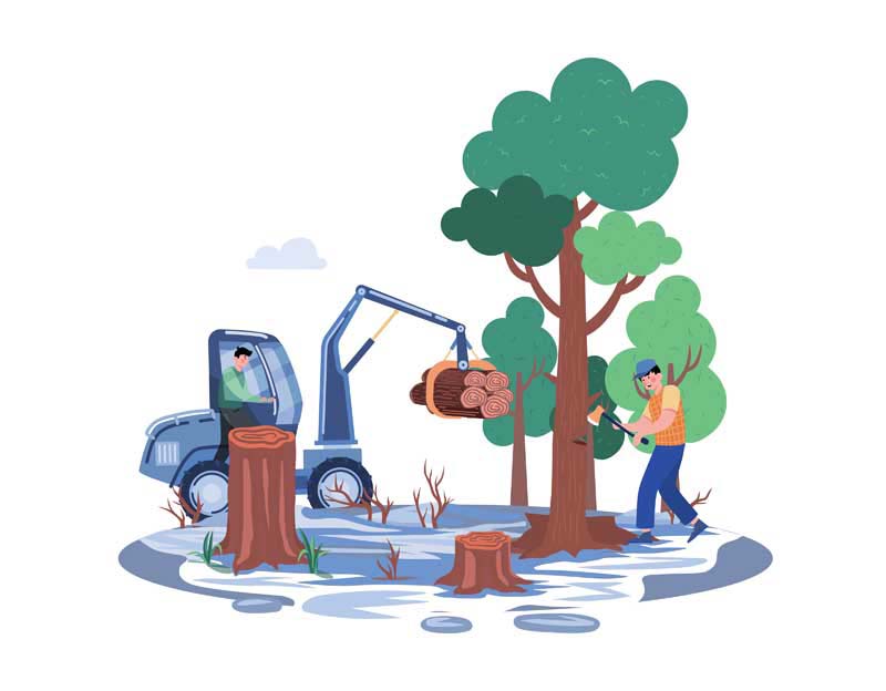 نه به پارک جنگلی کیاسر؛ نه به توسعه‌ای که بهای آن، نابودی طبیعت باشد