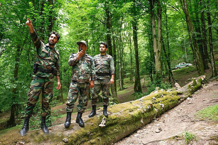 تشکیل بیش از ۱۲ هزار و ۹۵۰ پرونده در ۵ ماه نخست امسال