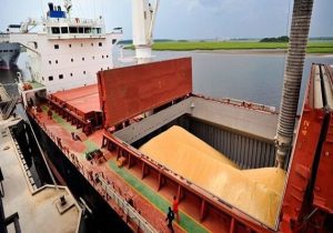 گامی برای تقویت امنیت غذایی مازندران است