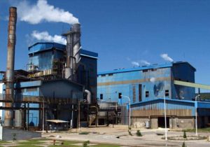 صنایع چوب و کاغذ مازندران؛ یک قدم تا سقوط!