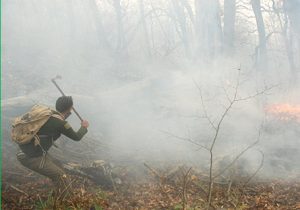 آماده‌باش کامل منابع طبیعی مازندران برای مقابله با آتش‌سوزی‌های احتمالی