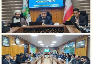 بازداشت موقت ۲۱ قاچاقچی چوب از ابتدای سال تاکنون