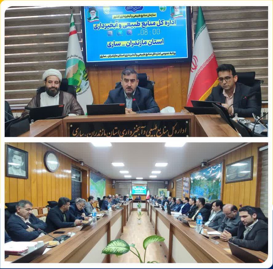 بازداشت موقت ۲۱ قاچاقچی چوب از ابتدای سال تاکنون