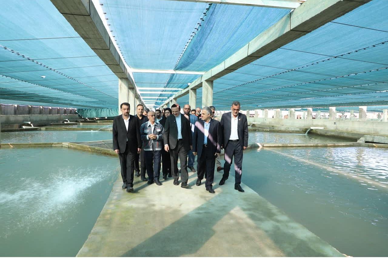 منطقه آزاد مازندران در مسیر توسعه گردشگری و صادرات خاویار؛ تأکید بر جذب سرمایه‌گذار و حمایت از تولید ارزی