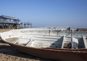 خشکی تالاب میانکاله، نگرانی‌ جدی محیط‌زیست