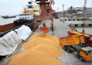 واردات ۶۰ هزار تن گندم به مازندران