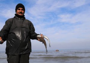 صید بیش از یک‌هزار تن ماهی استخوانی در دریای مازندران