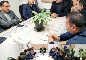 کاهش ۹۰ درصدی قاچاق چوب در مازندران