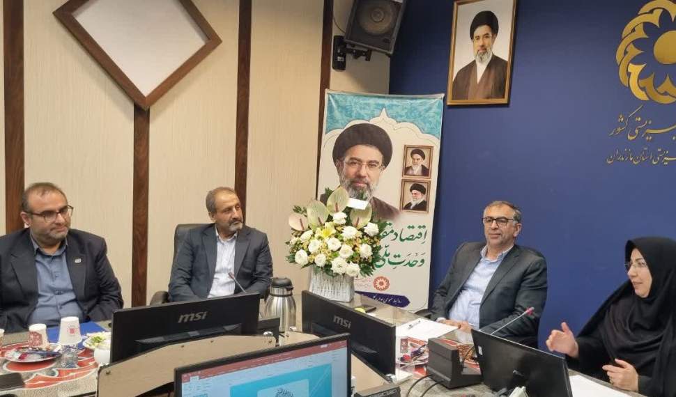 ضرورت تجمیع ظرفیت دستگاه‌ها برای ایجاد اشتغال پایدار جامعه هدف بهزیستی