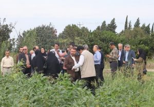 روایتگری از دلِ تولید؛ هجدهمین اردوی «راویان پیشرفت» در قطب کشاورزی مازندران برگزار شد