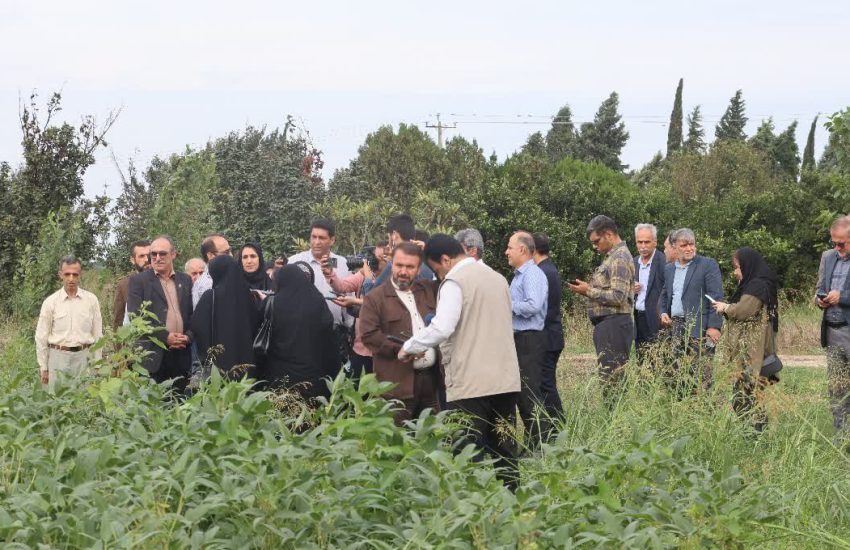 روایتگری از دلِ تولید؛ هجدهمین اردوی «راویان پیشرفت» در قطب کشاورزی مازندران برگزار شد