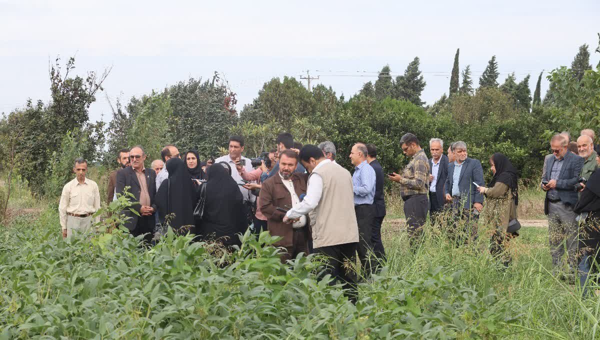 روایتگری از دلِ تولید؛ هجدهمین اردوی «راویان پیشرفت» در قطب کشاورزی مازندران برگزار شد