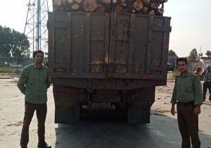 کشف ۲ تن چوب جنگلی قاچاق در نور و توقیف کامیون حامل هیزم در بهشهر