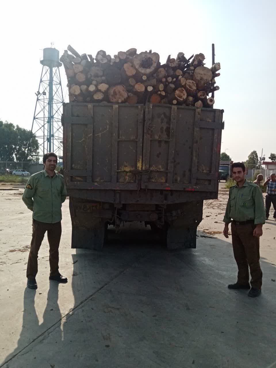 کشف ۲ تن چوب جنگلی قاچاق در نور و توقیف کامیون حامل هیزم در بهشهر
